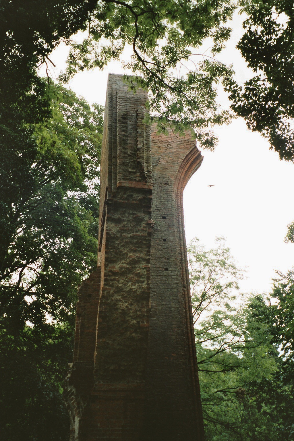 Mauerwerk der Klosterruine zwischen Bäumen